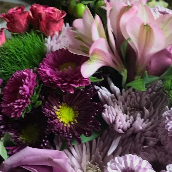 Meet your Posher, Lupe - Picture 1 of 1